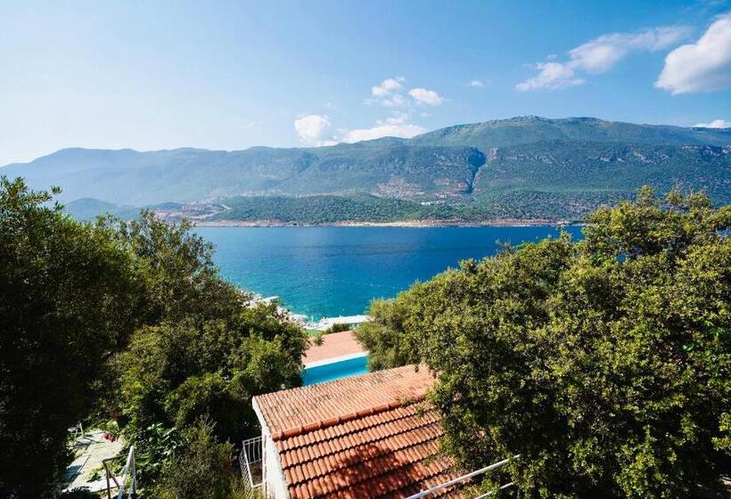 هتل Club çapa