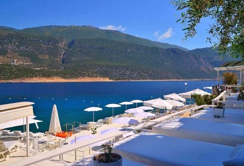هتل Club çapa