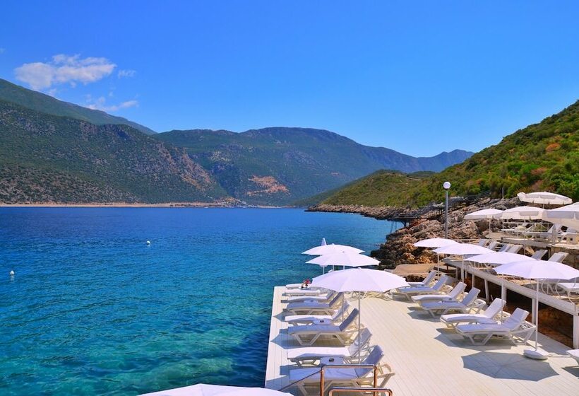 هتل Club çapa