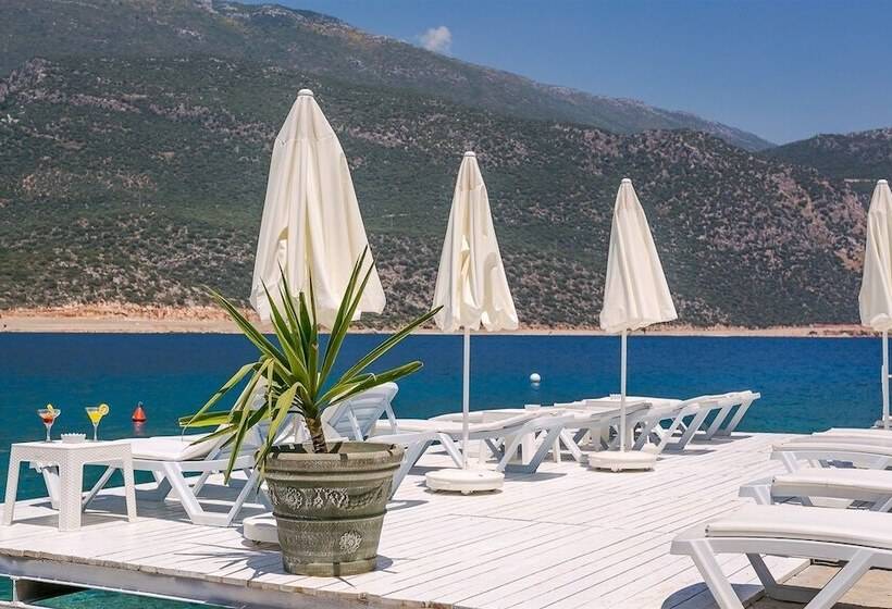 هتل Club çapa