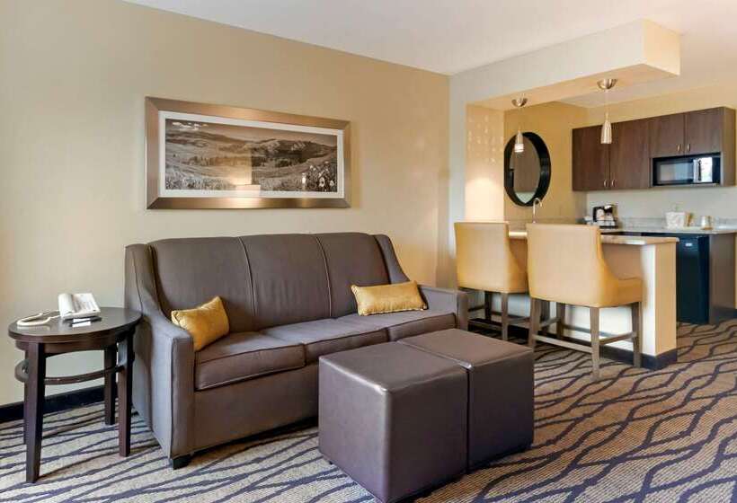 هتل Comfort Inn & Suites Market   Airport