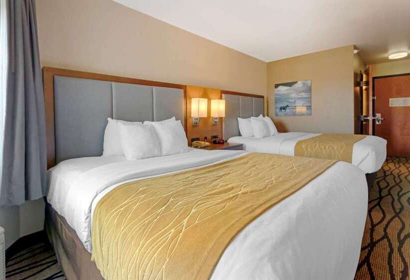 هتل Comfort Inn & Suites Market   Airport