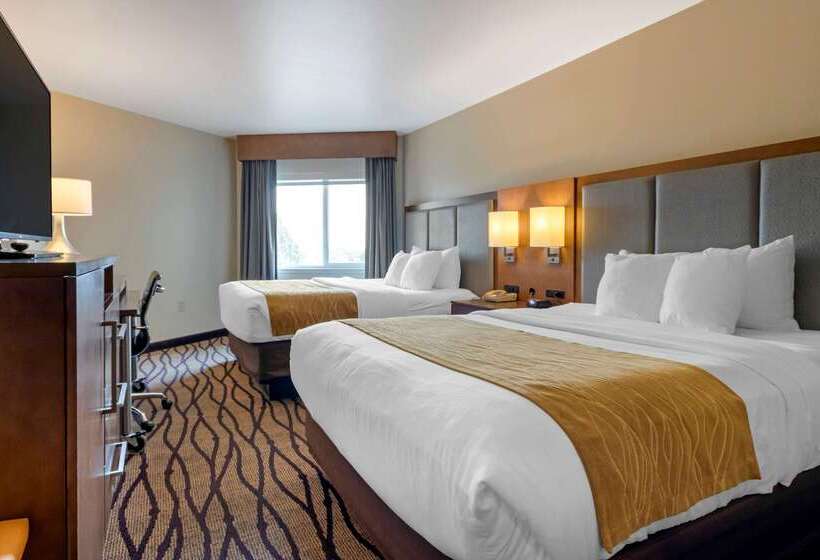 هتل Comfort Inn & Suites Market   Airport