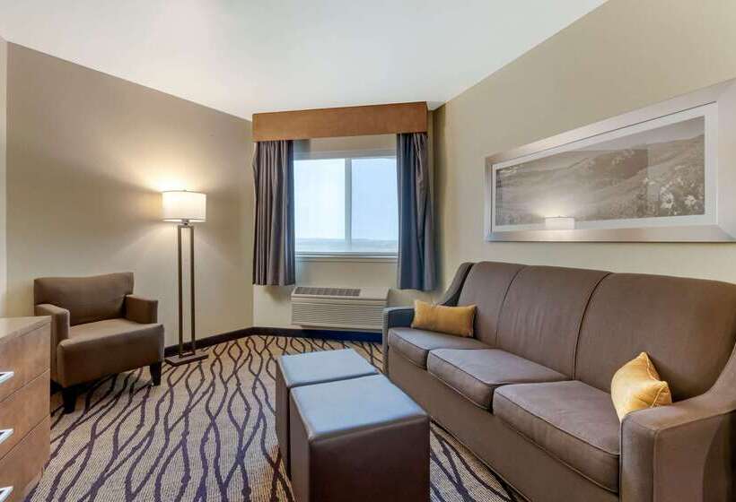 هتل Comfort Inn And Suites Market  Airport