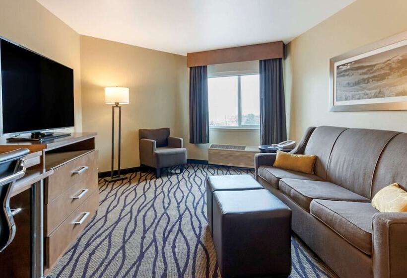 هتل Comfort Inn & Suites Market   Airport