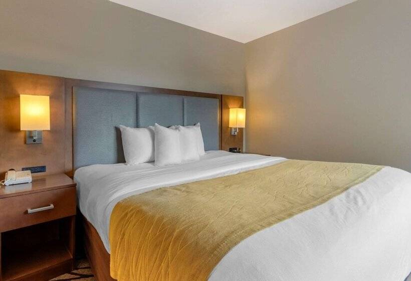هتل Comfort Inn & Suites Market   Airport