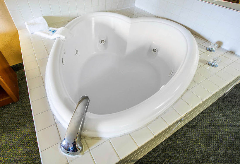 ホテル Rodeway Inn Chattanooga