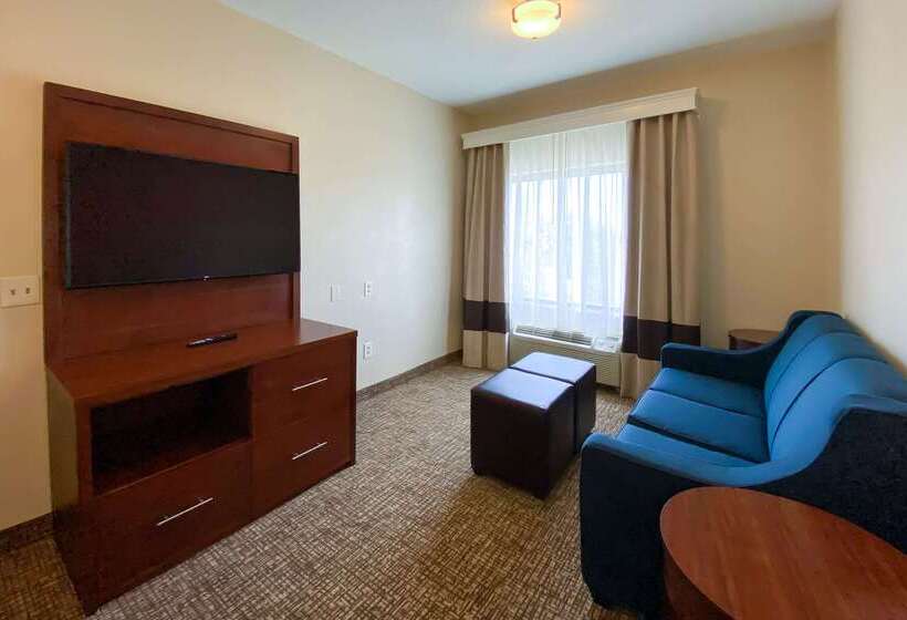 Hôtel Comfort Inn East Windsor  Springfield