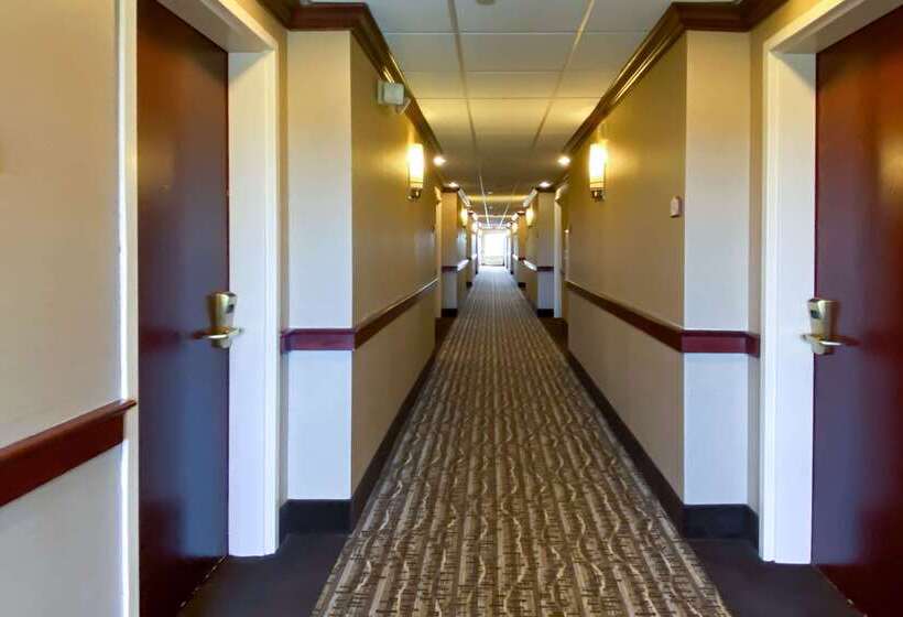 هتل Comfort Inn East Windsor  Springfield