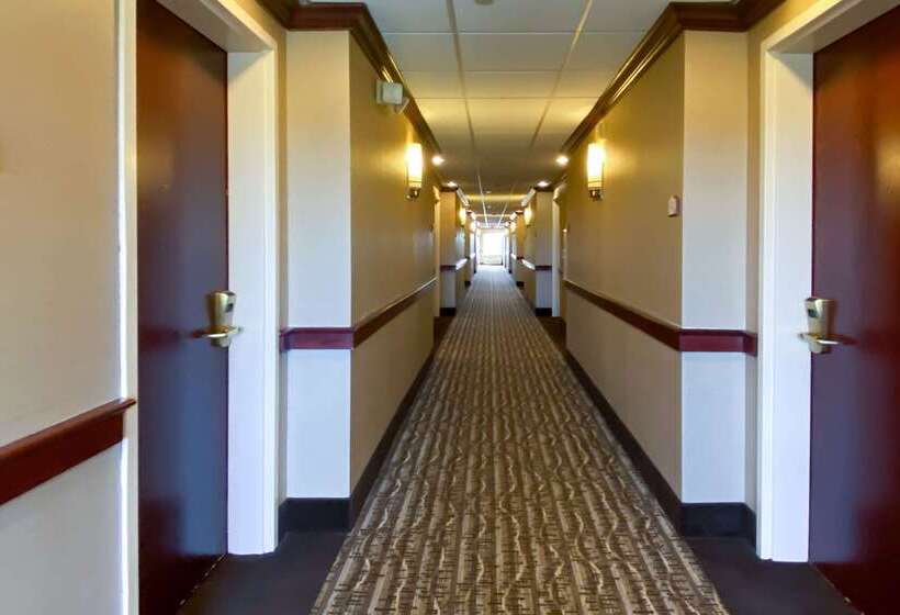 Hotel Comfort Inn East Windsor  Springfield