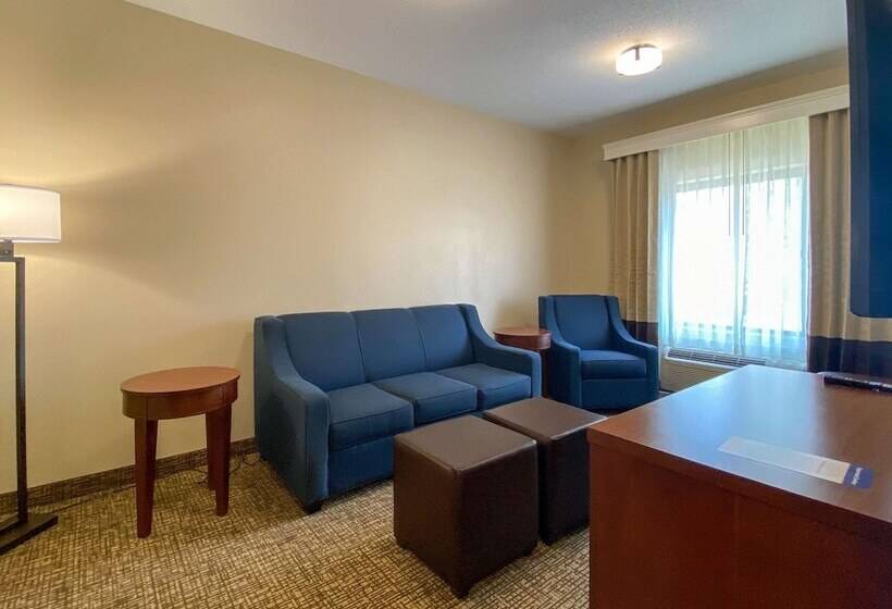 هتل Comfort Inn East Windsor  Springfield
