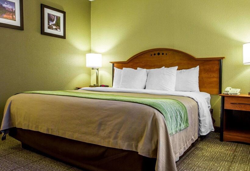 هتل Comfort Inn Modesto