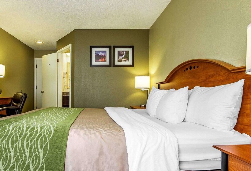 هتل Comfort Inn Modesto
