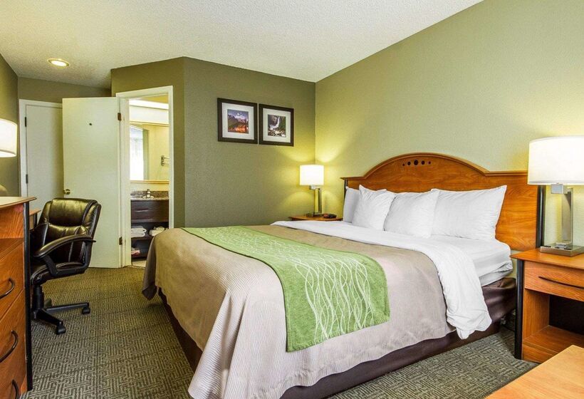 هتل Comfort Inn Modesto