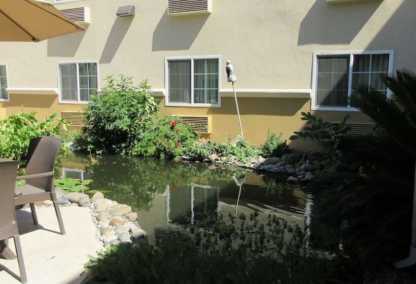 هتل Comfort Inn Modesto