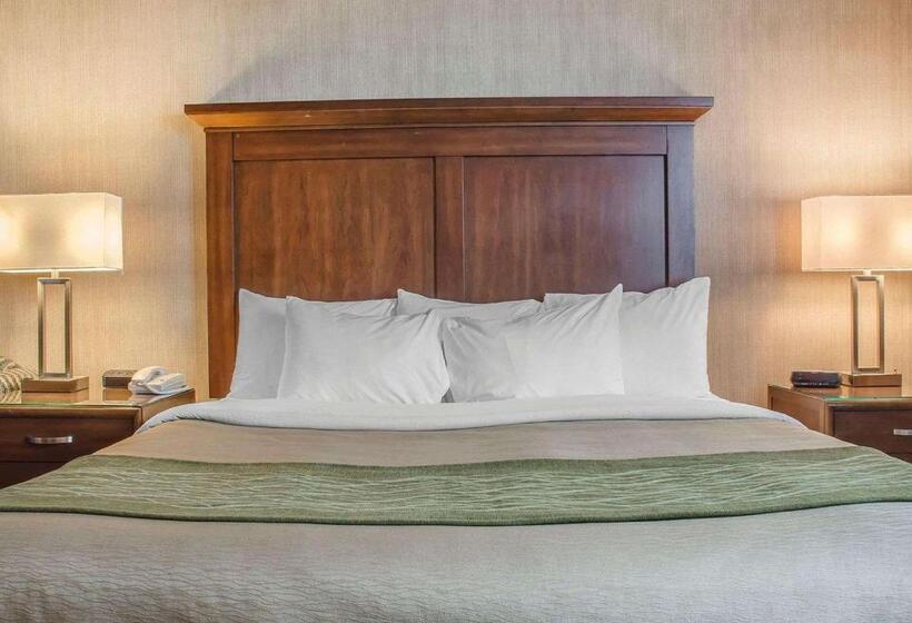 酒店 Comfort Inn