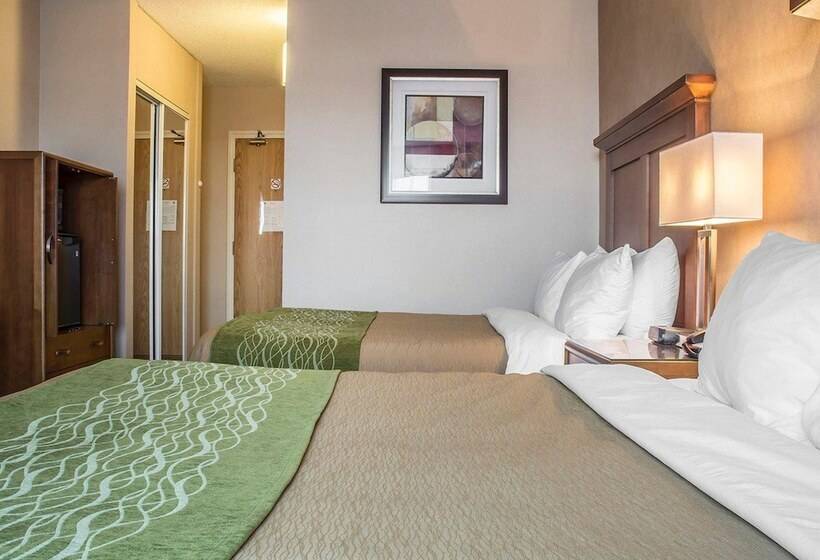 酒店 Comfort Inn