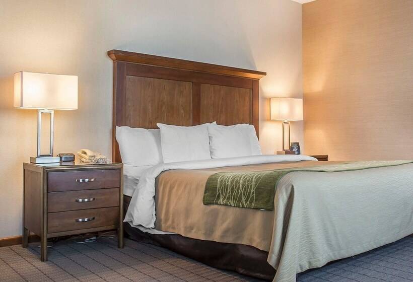 酒店 Comfort Inn