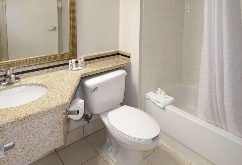 هتل Comfort Inn Southwest Fwy At Westpark