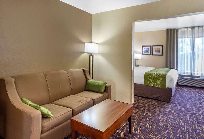 酒店 Comfort Inn & Suites North Aurora   Naperville