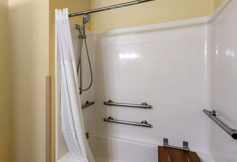 酒店 Comfort Inn & Suites North Aurora   Naperville