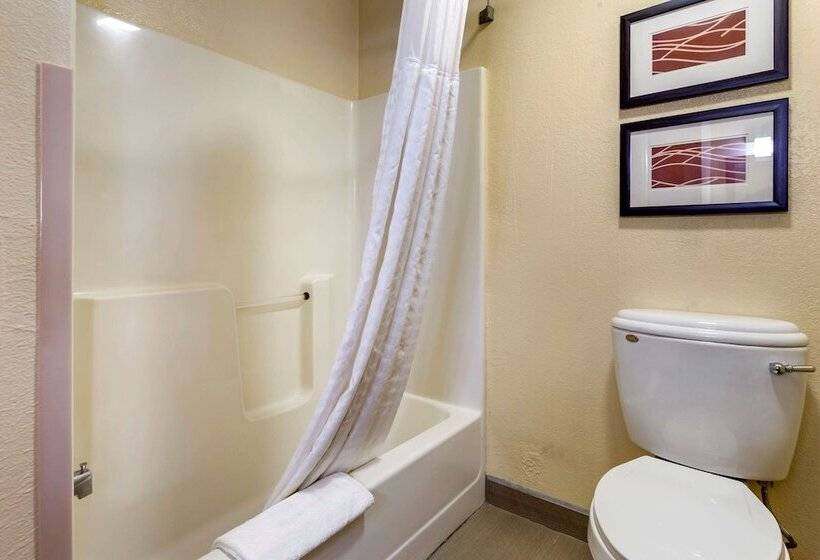 酒店 Comfort Inn & Suites North Aurora   Naperville