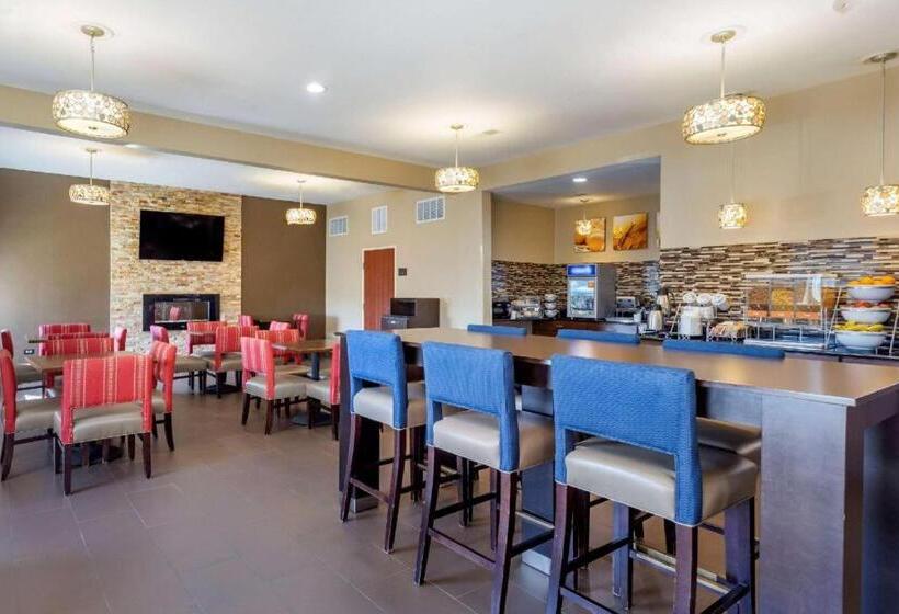 酒店 Comfort Inn & Suites North Aurora   Naperville