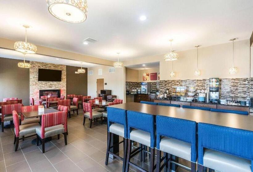 酒店 Comfort Inn & Suites North Aurora   Naperville