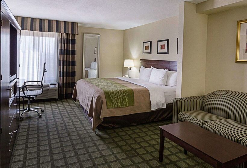 هتل Comfort Inn Southwest Fwy At Westpark