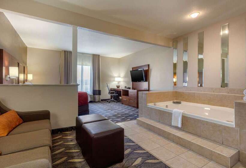 酒店 Comfort Suites