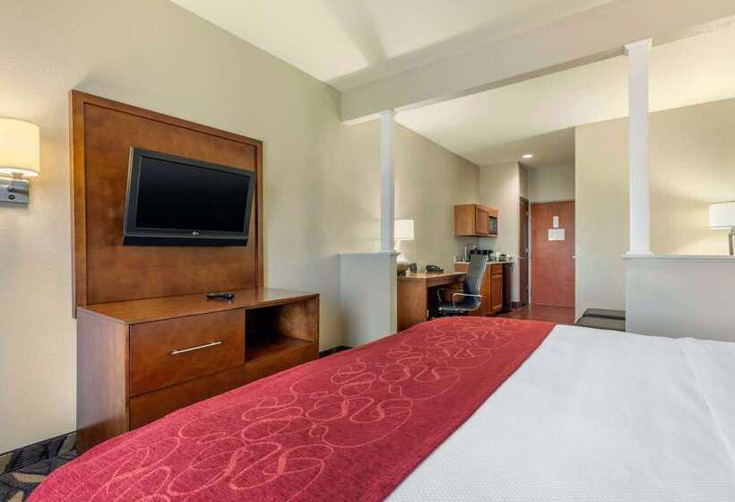 酒店 Comfort Suites