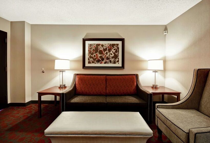 هتل Embassy Suites By Hilton Dulles Airport