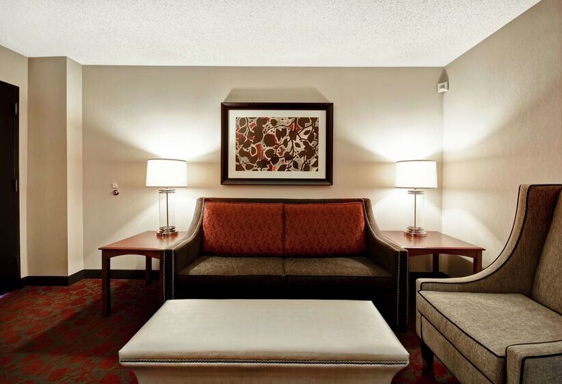 Hotel Embassy Suites By Hilton Dulles Airport