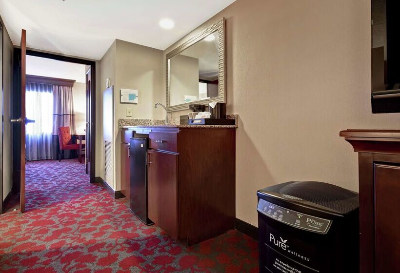 هتل Embassy Suites By Hilton Dulles Airport