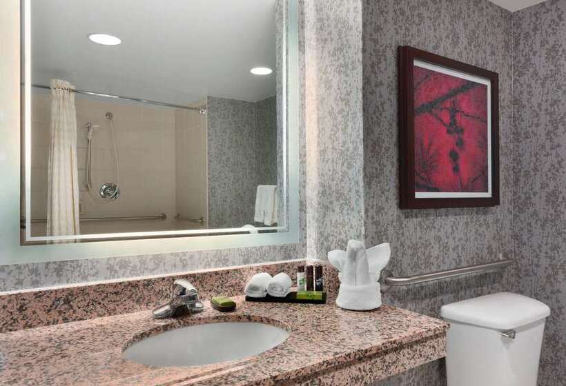 هتل Embassy Suites By Hilton Dulles Airport