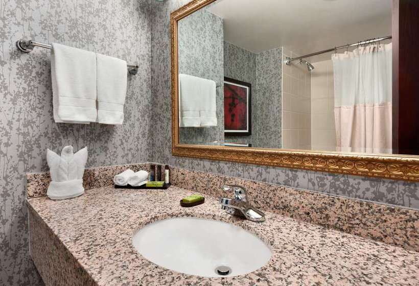 هتل Embassy Suites By Hilton Dulles Airport