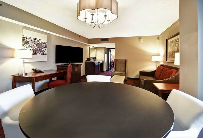 هتل Embassy Suites By Hilton Dulles Airport