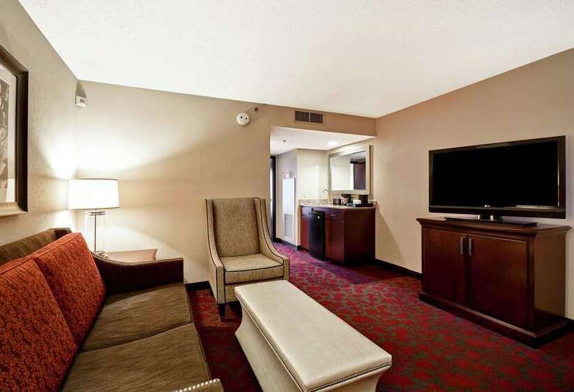 هتل Embassy Suites By Hilton Dulles Airport