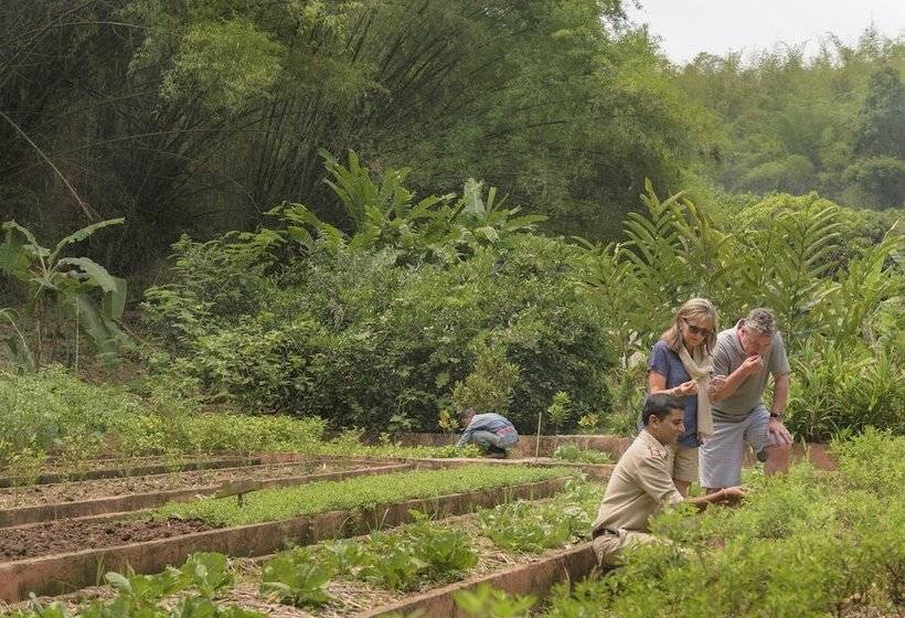 هتل Four Seasons Tented Camp Golden Triangle