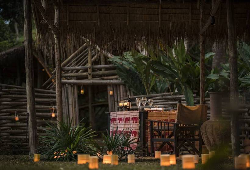 هتل Four Seasons Tented Camp Golden Triangle