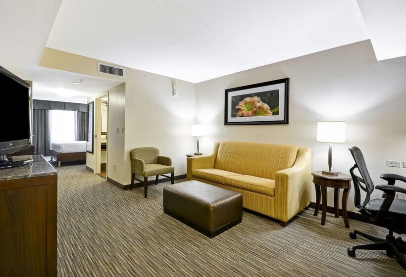 בית מלון כפרי Hilton Garden Inn Sarasotabradenton Airport