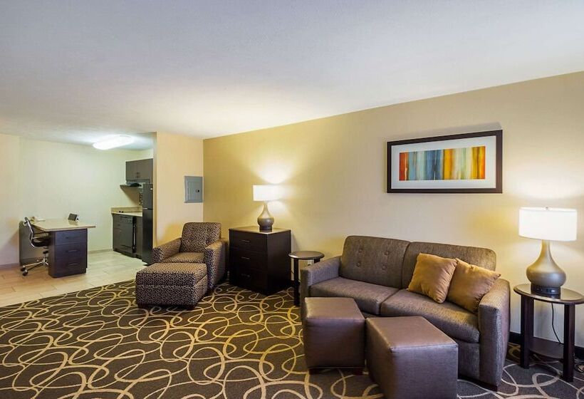 هتل Mainstay Suites Fargo   I 94 Medical Center