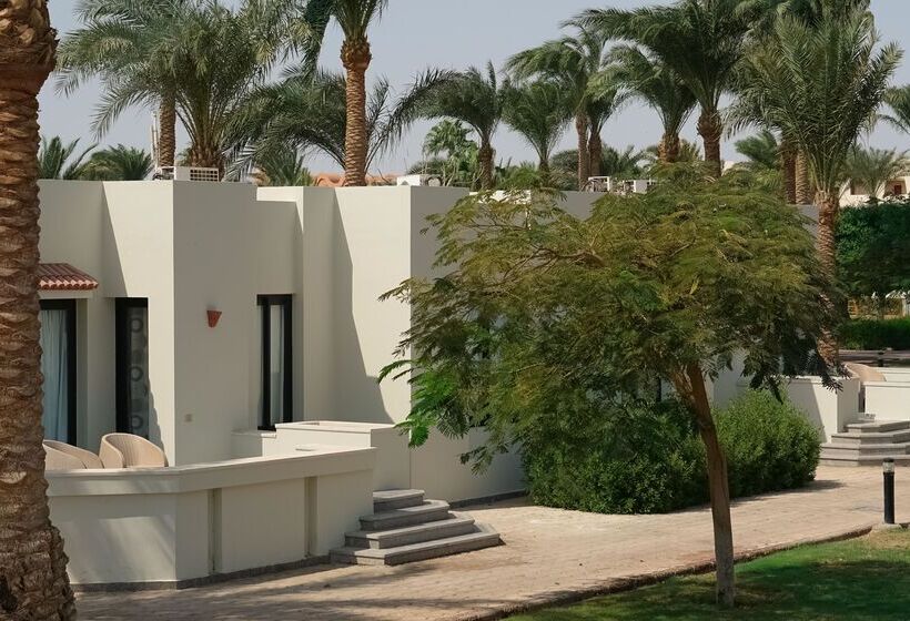 هتل Pharaoh Azur Resort