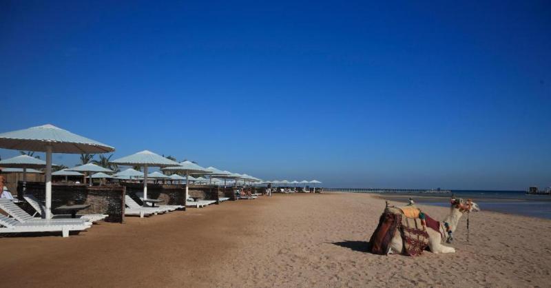هتل Pharaoh Azur Resort