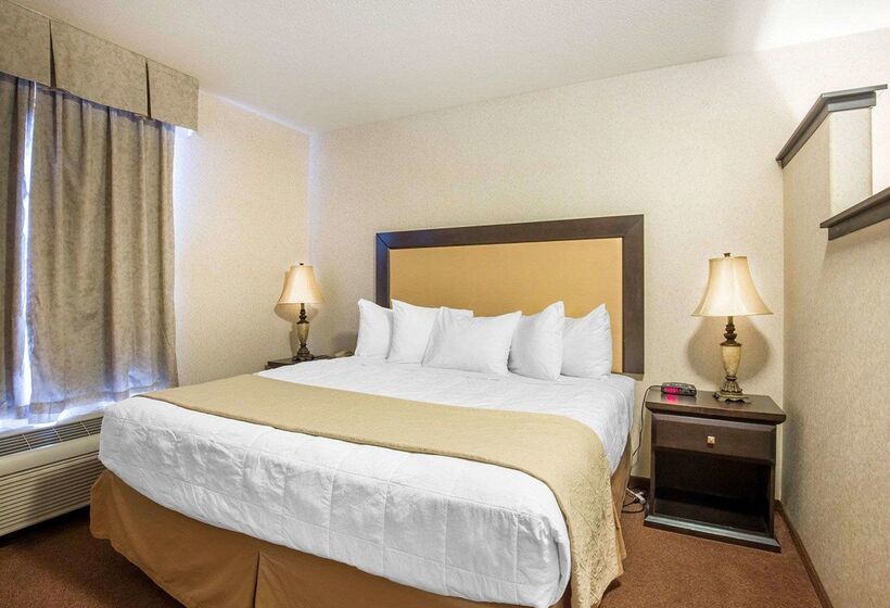 ホテル Quality Inn & Suites Lethbridge