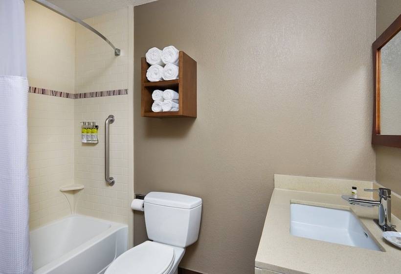 هتل Staybridge Suites Orlando South, An Ihg