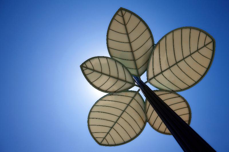 Fotos del hotel Arminda Hotel & Spa:  6