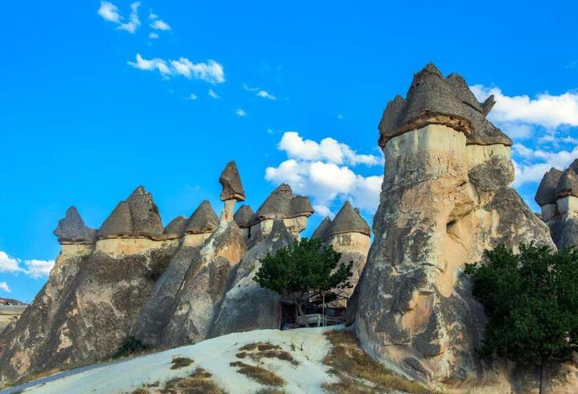 Fotos del hotel Aydinli Cave:  5