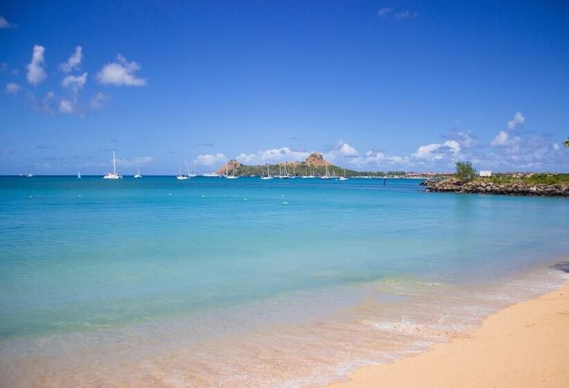 هتل Bay Gardens Beach Resort & Spa