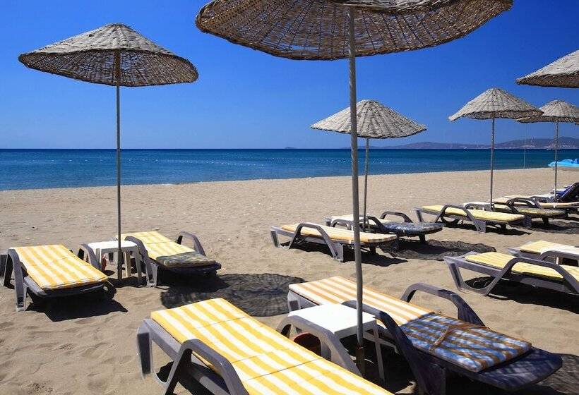 هتل Club Cactus Paradise   All Inclusive